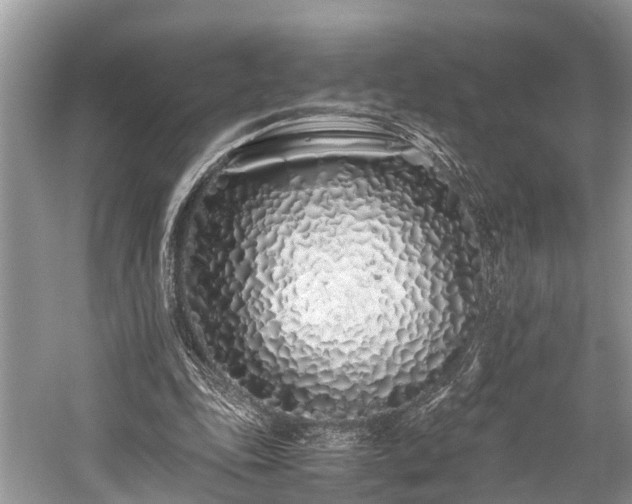 X0000059830343200510211219