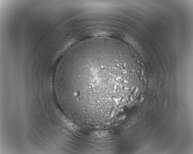 X0000059830353200510211219