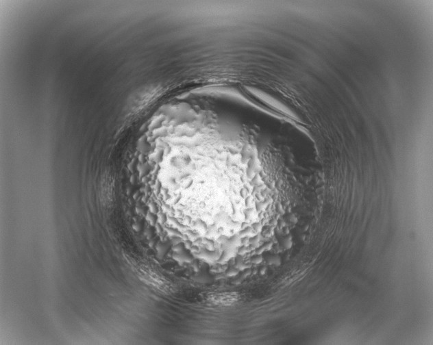 X0000059830355200510211219