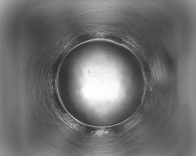 X0000059830366200510211219