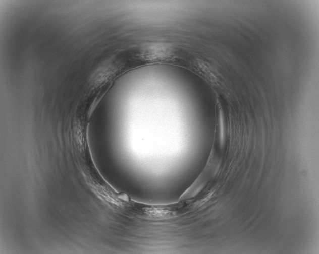 X0000059830380200510211219