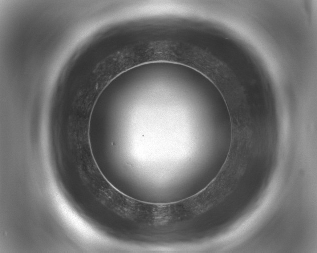 X0000059830382200510211219