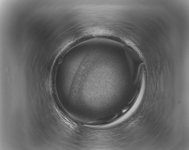 X0000059830391200510211219