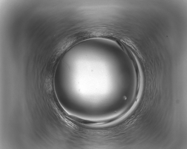 X0000059830393200510211218