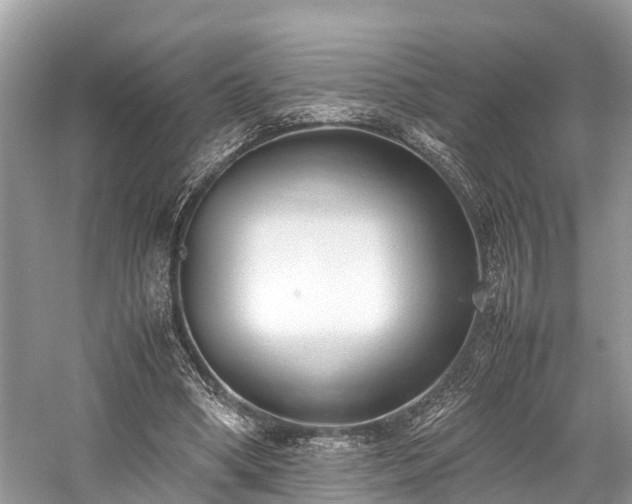 X0000059830394200510211218