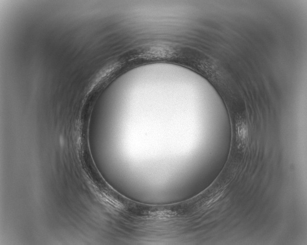 X0000059830396200510211218