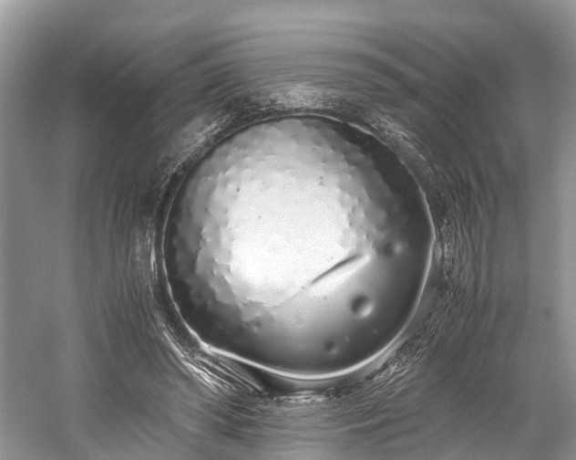 X0000059830398200510211218