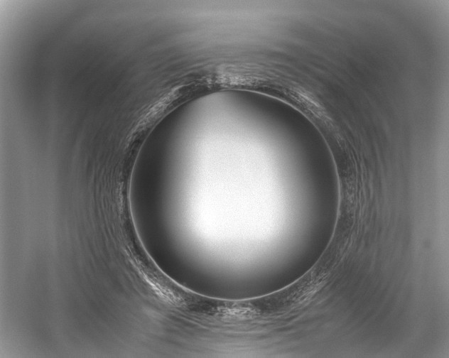 X0000059830401200510211218