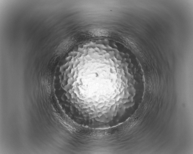 X0000059830402200510211218