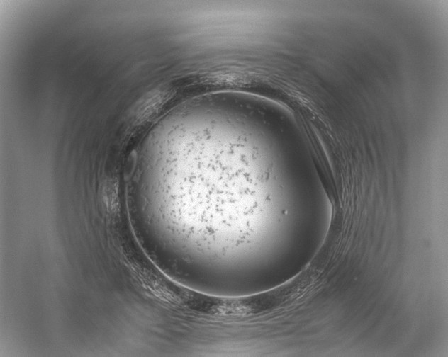 X0000059830403200510211218