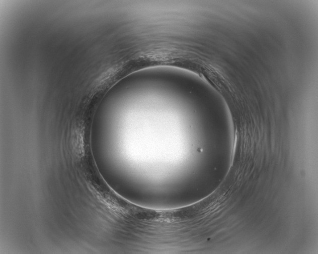 X0000059830404200510211218