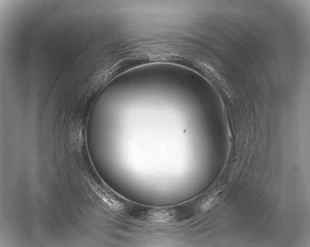 X0000059830405200510211218