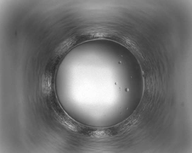 X0000059830406200510211218