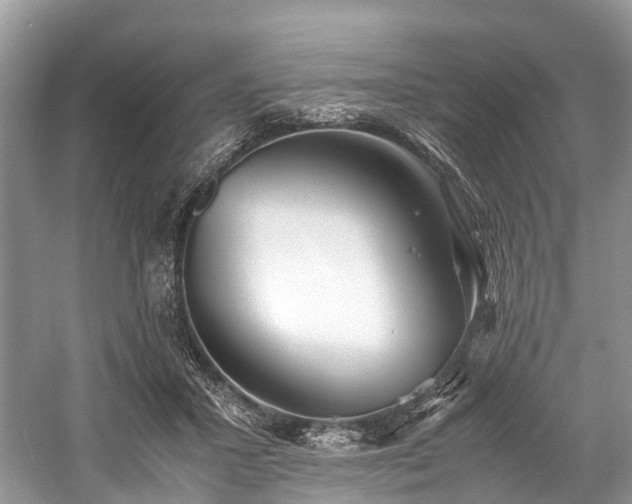 X0000059830407200510211218