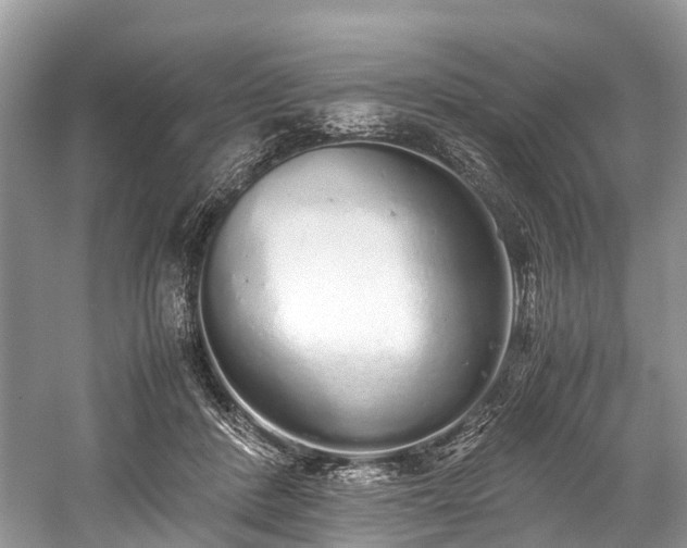 X0000059830408200510211218