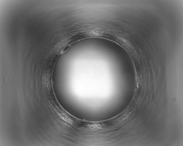 X0000059830409200510211218