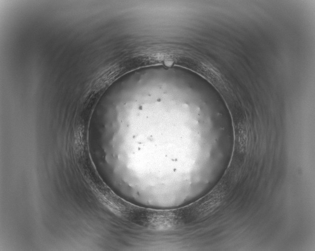 X0000059830410200510211218