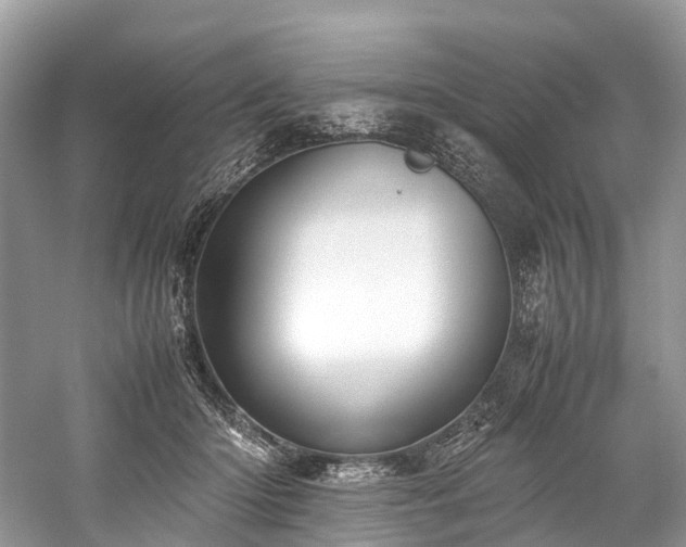 X0000059830414200510211218