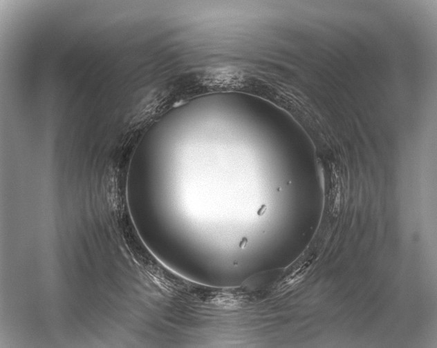 X0000059830416200510211218