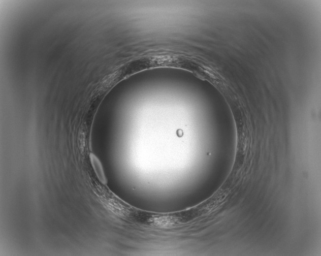 X0000059830417200510211218