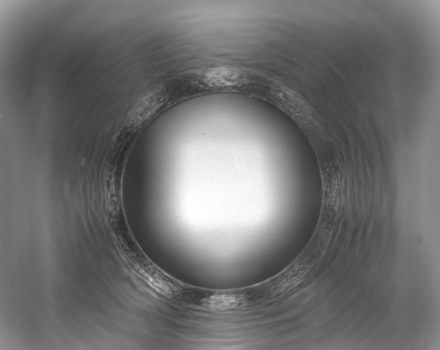 X0000059830418200510211218