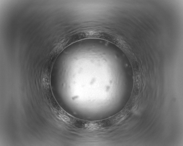 X0000059830419200510211218