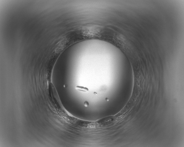 X0000059830420200510211218