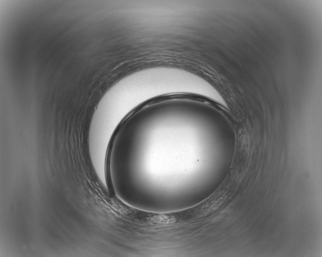 X0000059830421200510211218