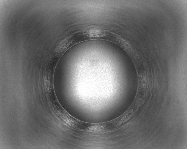 X0000059830422200510211218