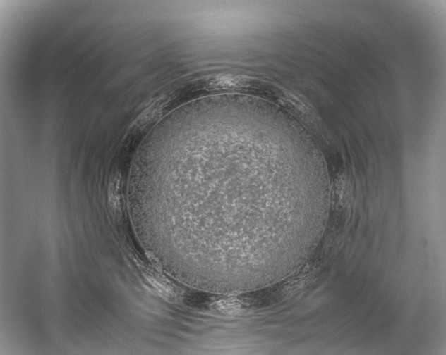 X0000059830423200510211218