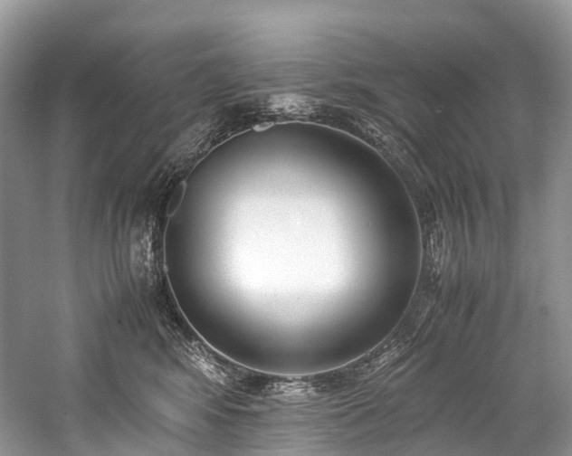 X0000059830424200510211218