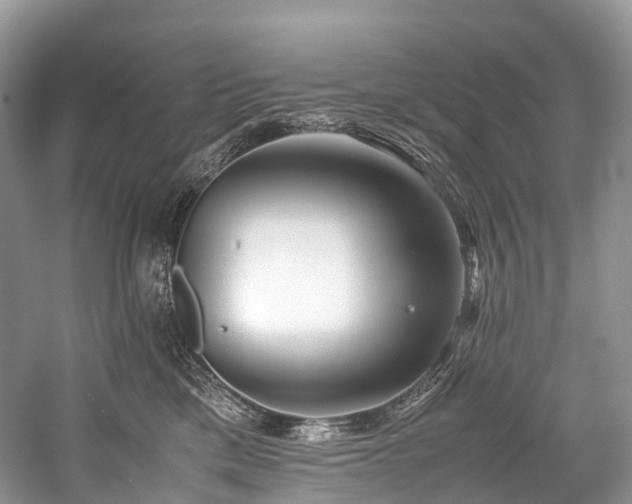 X0000059830425200510211218