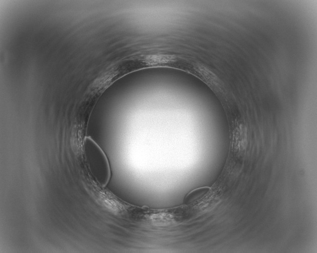 X0000059830426200510211218