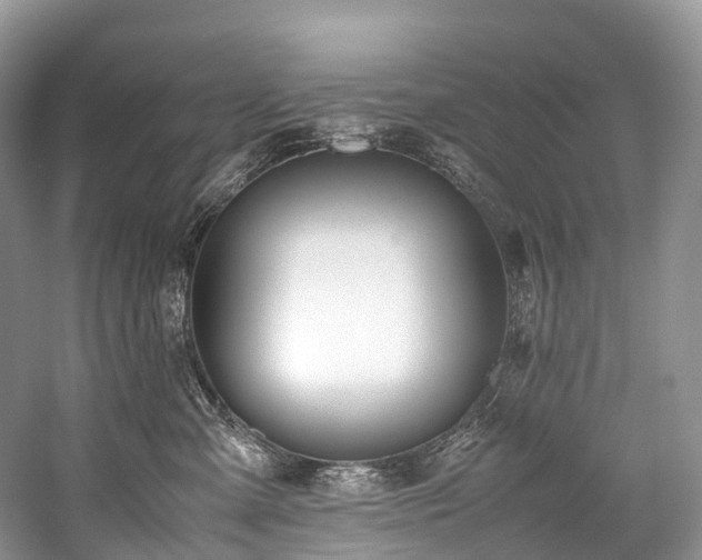 X0000059830427200510211218