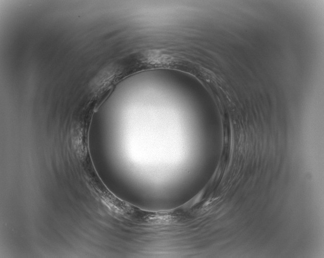 X0000059830428200510211218