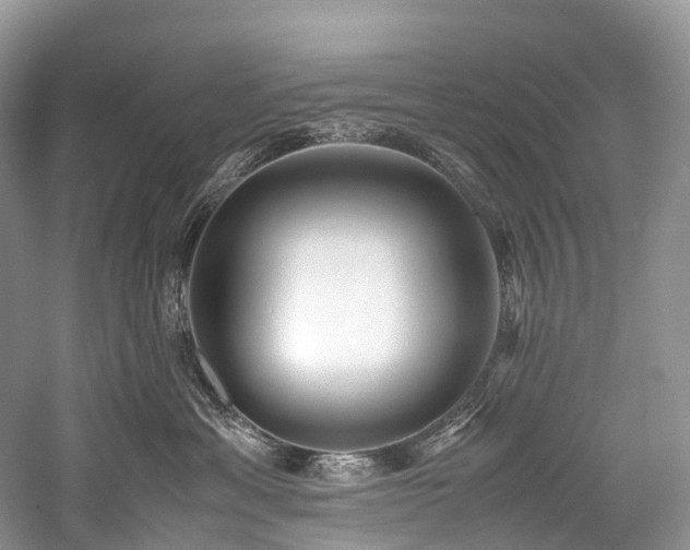 X0000059830429200510211218