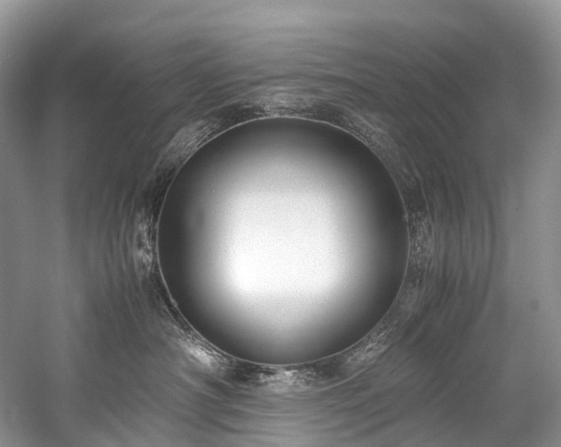 X0000059830430200510211218