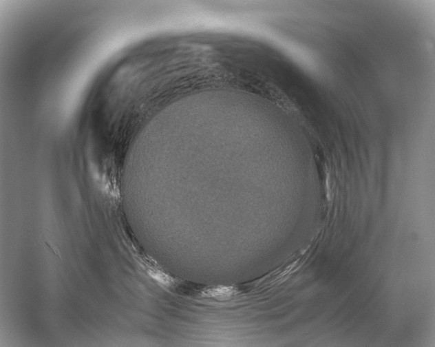 X0000059830431200510211218