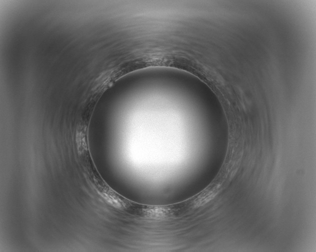 X0000059830432200510211218