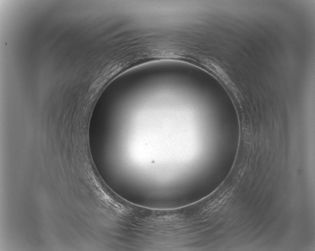 X0000059830433200510211217