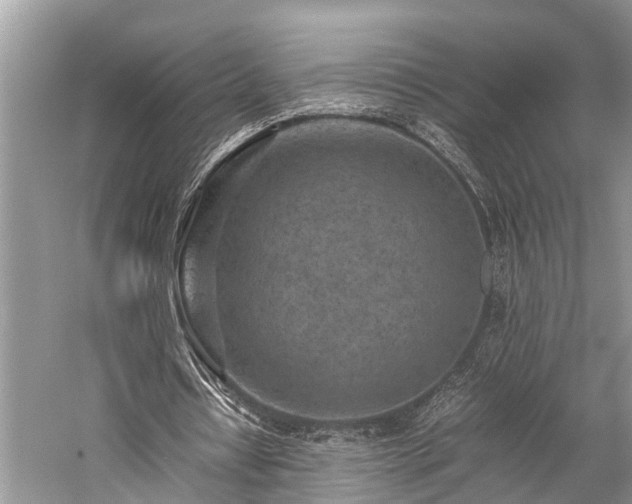 X0000059830434200510211217