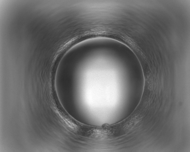 X0000059830442200510211217