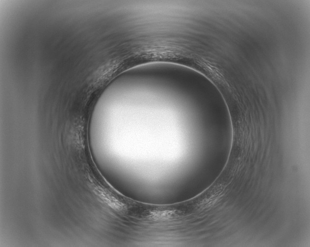 X0000059830450200510211217