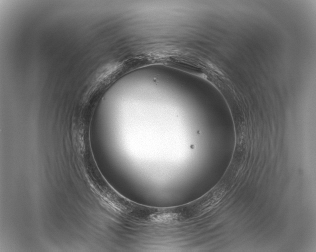 X0000059830452200510211217