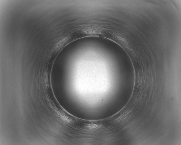 X0000059830453200510211217