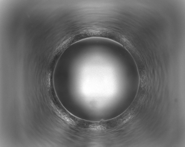 X0000059830454200510211217