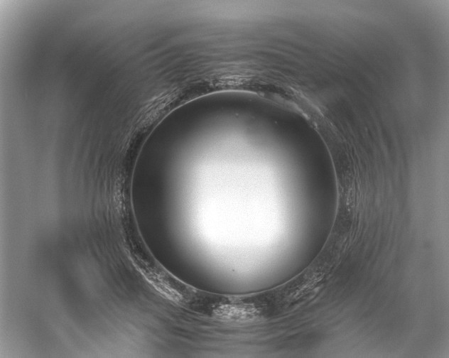 X0000059830455200510211217