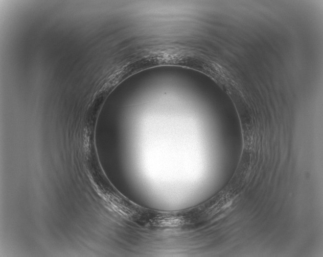 X0000059830456200510211217