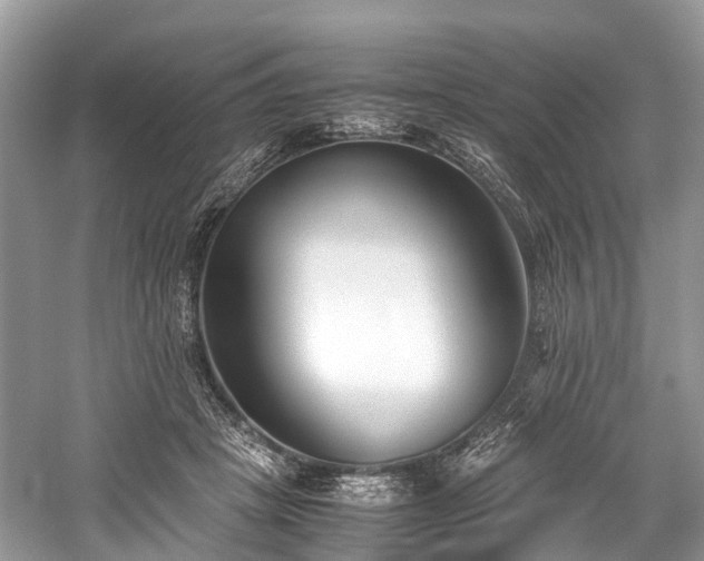 X0000059830457200510211217