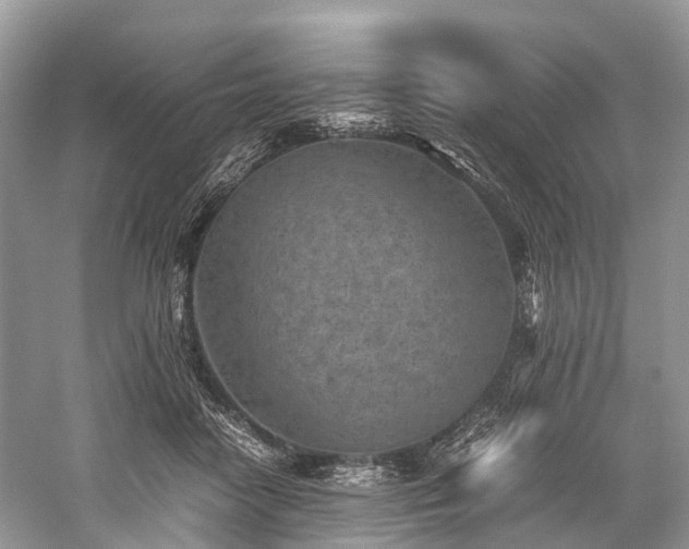 X0000059830458200510211217